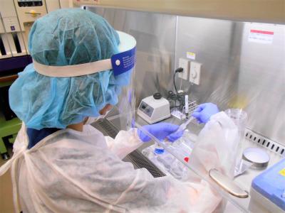 細菌検査・遺伝子検査